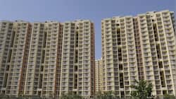 Leopard spotted in Greater Noida West, housing societies on high alert