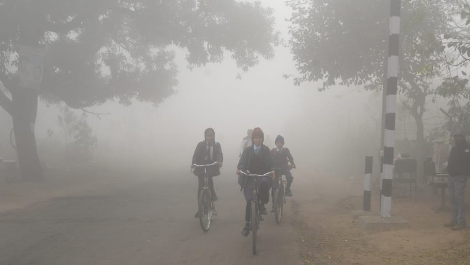 No physical classes up to Class 8 in Noida schools till January 1 due to cold wave