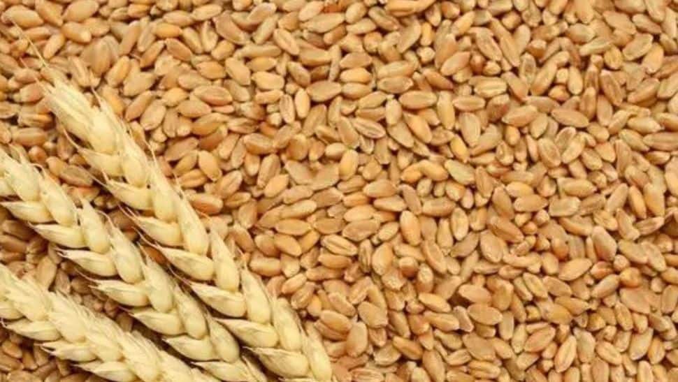 ‘Time when wheat used to be Rs 1.6 per kg’: Bill from 1987 surfaced online, check what happens NEXT