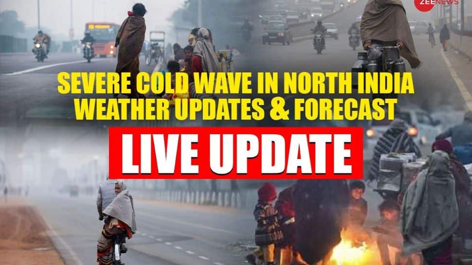 Weather Updates LIVE Severe Cold Wave in Delhi NCR, North India
