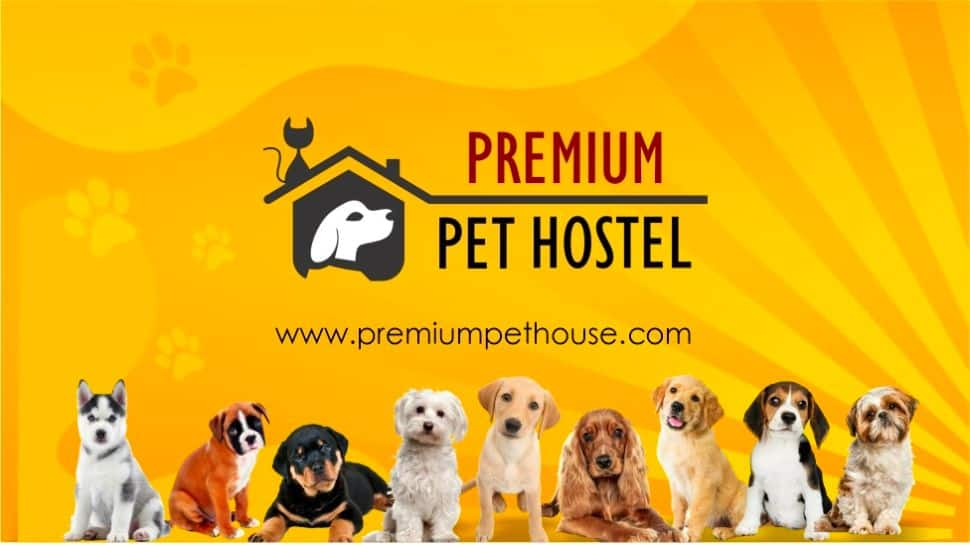 Premium 2025 pet house