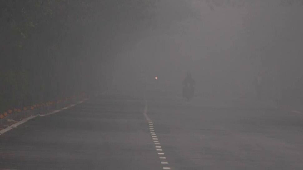 COLD WAVE: Delhi Ridge shivers at 1.5 degrees, Bikaner is at zero degree - check IMD&#039;s weather report 