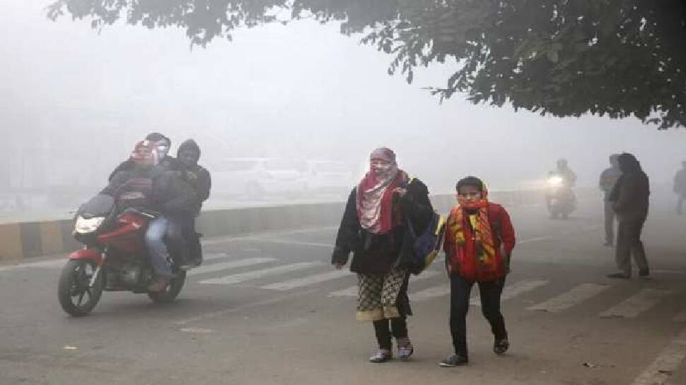 Cold wave grips North India as dense fog cripples rail, air travel