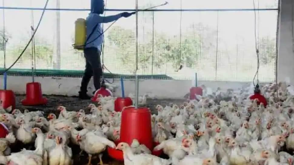 Bird flu in Kerala: ‘No cause of concern but precautions need to be taken,’ says Health Minister