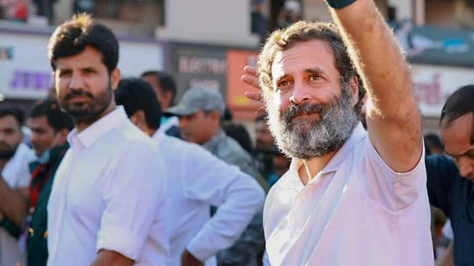 Rahul Gandhi-led Bharat Jodo Yatra to enter Punjab today; special squad to provide protection to Congress MP