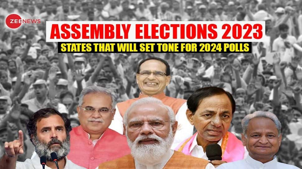 India Assembly Election Results 2024 Brandi Estrella