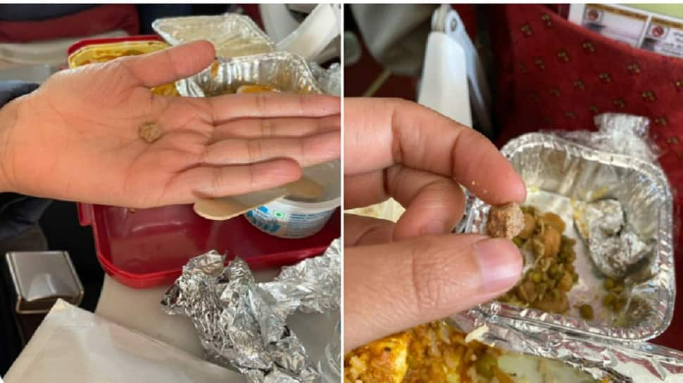 &#039;Unacceptable&#039; Air India passenger finds STONE in meal on Delhi-Kathmandu flight