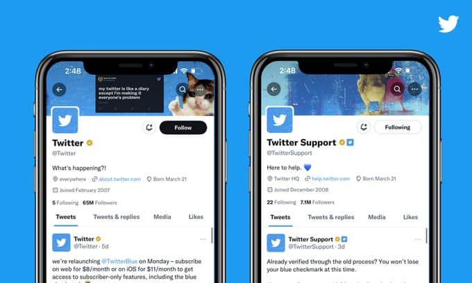 Read more about the article Twitter’s new verification for organizations: A game changer for businesses on the platform