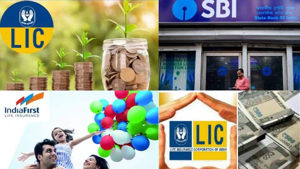 Best LIC Policy and Retirement Saving Plans for Senior Citizens in India –  Paybima Blogs