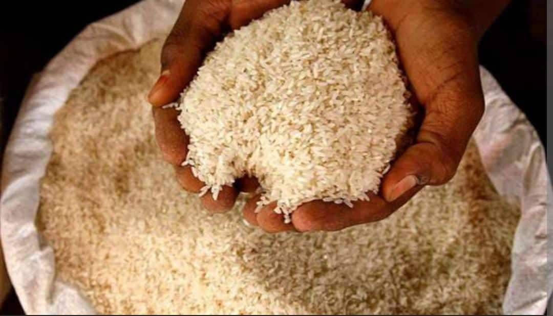 Basmati Rice in your plate might be mixed with artificial colour! Know Govt’s latest rule to stop adulteration