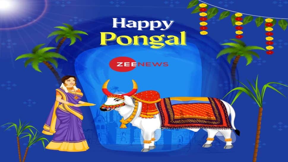 Happy Mattu Pongal: Wishes, greetings, messages and WhatsApp status to  share with your loved ones | Culture News | Zee News