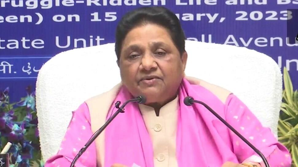 On her birthday, Mayawati says no to alliance; alleges EVM sabotage
