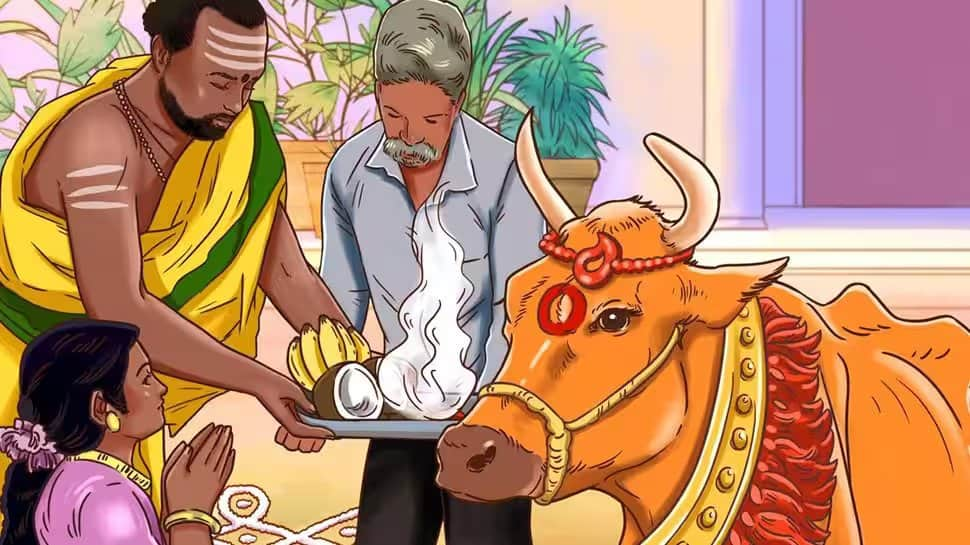 Happy Mattu Pongal 2023: Know date, significance, importance and story of Cow festival