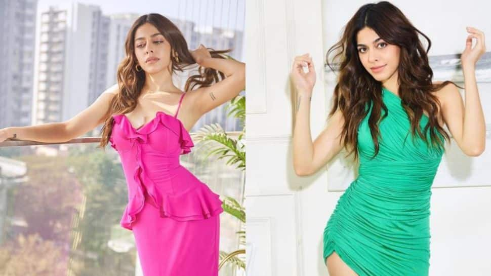 From pink bodycon dress to striped crop top, times Alaya F stunned in western outfits: In Pics 