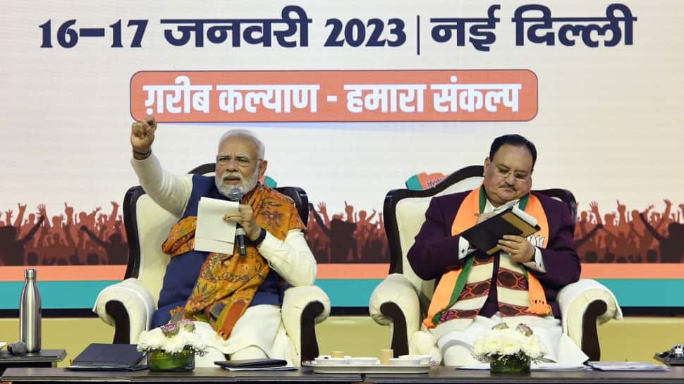 &#039;Refrain from making unnecessary remarks&#039;, says PM Modi at key BJP meet amid controversy over SRK&#039;s Pathaan