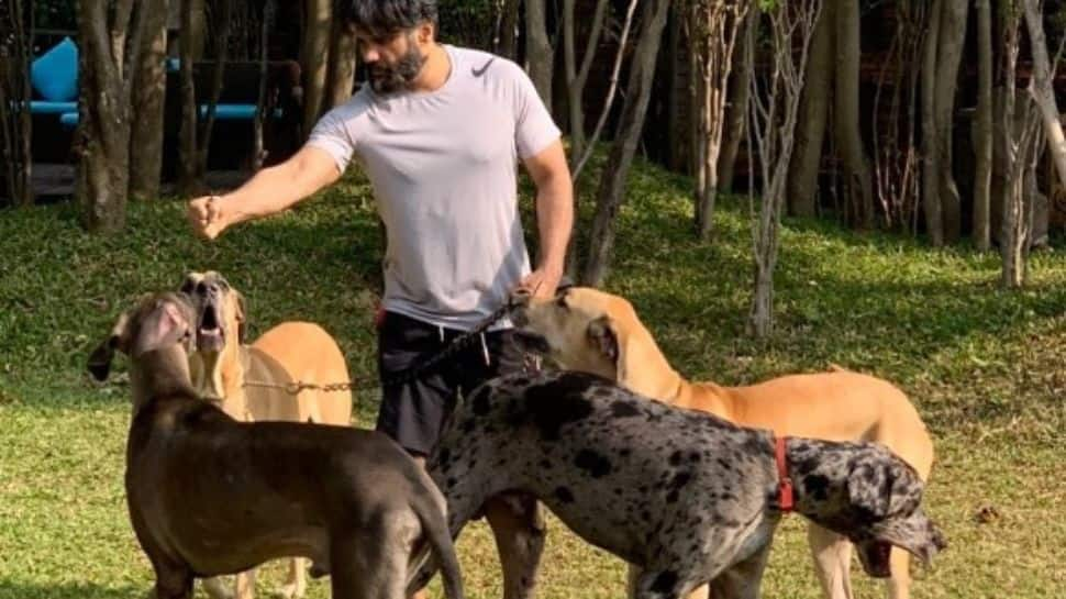 Suniel Shetty's pet dogs