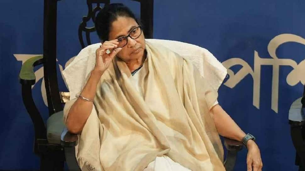 Mamata Banerjee to learn three local languages before coming to Meghalaya next time, says &#039;I can start learning on YouTube&#039;