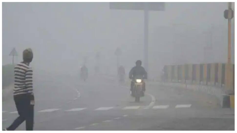 Weather Update: Cold wave conditions over northwest India likely to abate from Jan 19, says IMD