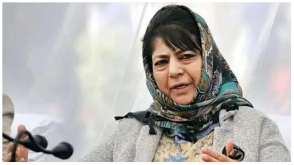 Talks with Pakistan should start with restoration of Kashmir&#039;s special status: Mehbooba Mufti