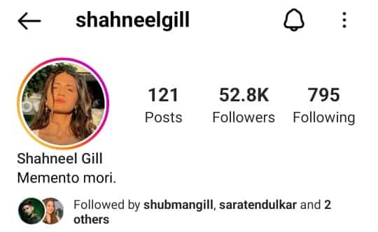 Sara follows Shubman's sister