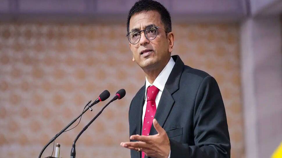 Tamil Nadu CM MK Stain backs CJI DY Chandrachud's suggestion to make SC rulings available in all Indian languages | India News - Vimarsana News