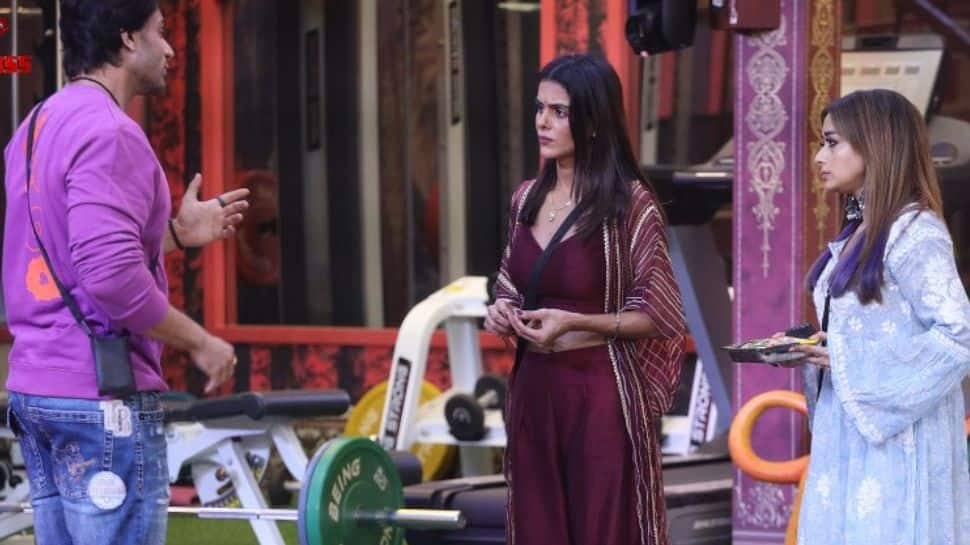 Bigg Boss 16 Day 117 Updates: Shalin Gets Into Big Fight With Tina, Priyanka During Ration Task 