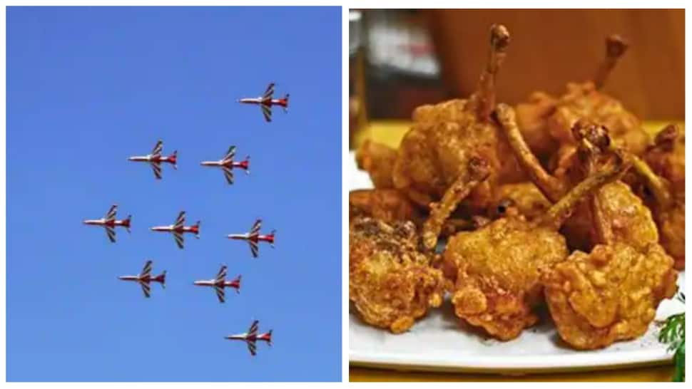 Aero India Show: Sale of Non-Veg Items Banned Within 10 km Radius in Bengaluru