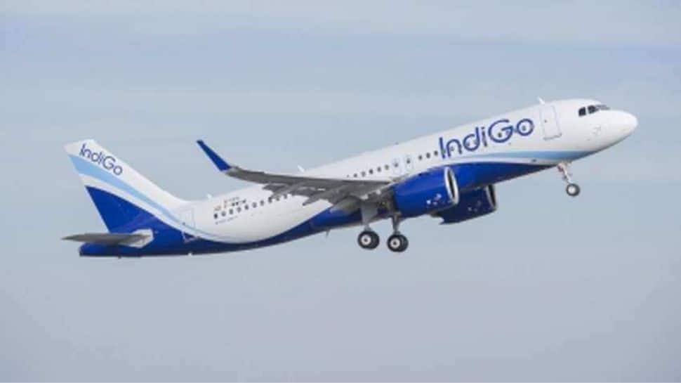 Indigo Passenger Tries to Open Emergency Exit Door on Nagpur-Mumbai Flight; FIR Registered