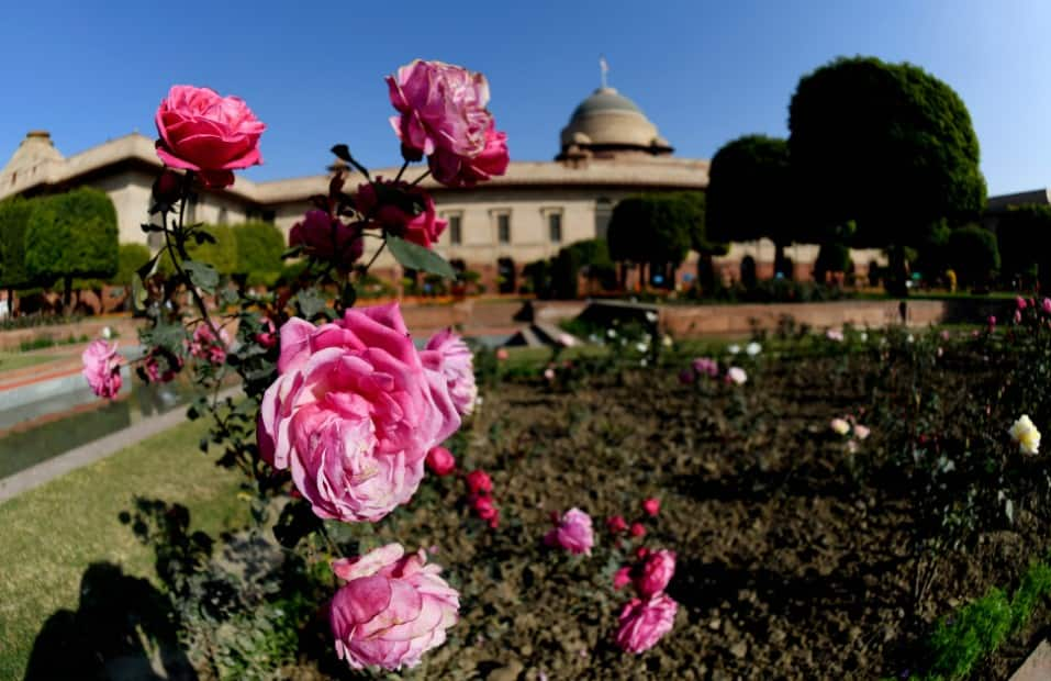 Mughal Gardens have often been portrayed as soul of Presidential Palace