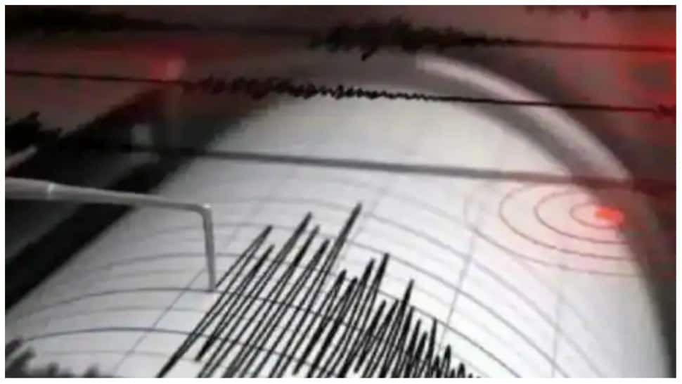 Earthquake in Gujarat: 4.2 Magnitude Tremors Jolt Kutch; No Casualty Reported