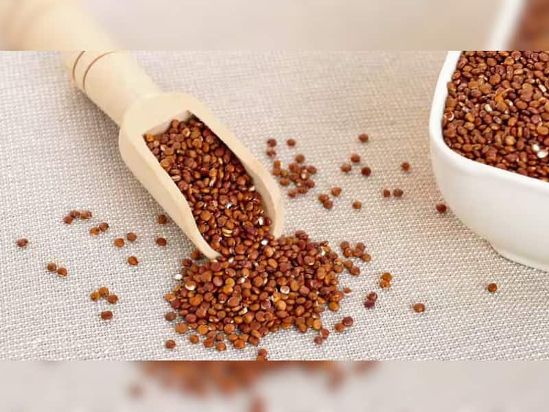 Special Funds or Schemes for Cereals