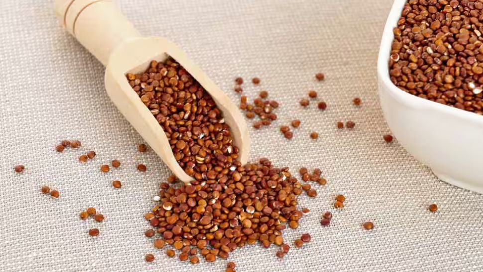 Special Funds or Schemes for Cereals