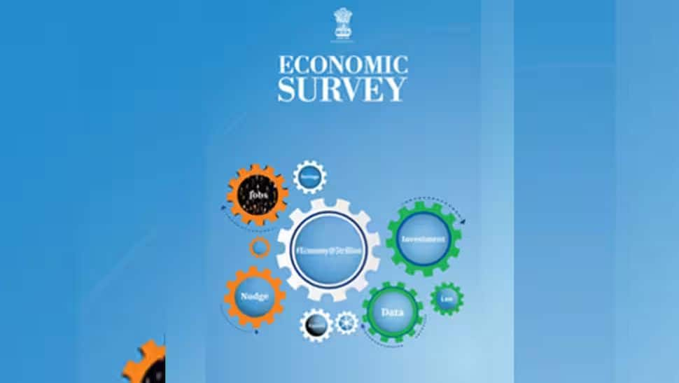 What is Economic Survey?