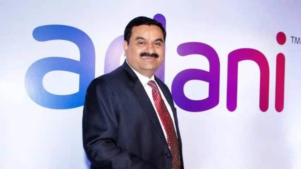 Adani Enterprises Shares Nosedive 27%