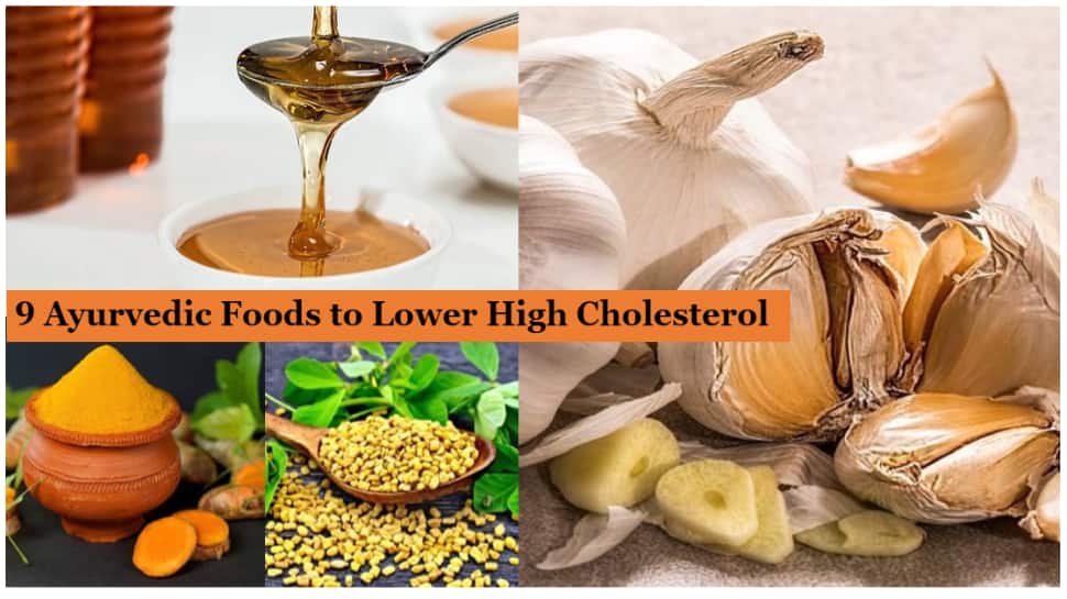 Cholesterol-balancing remedies