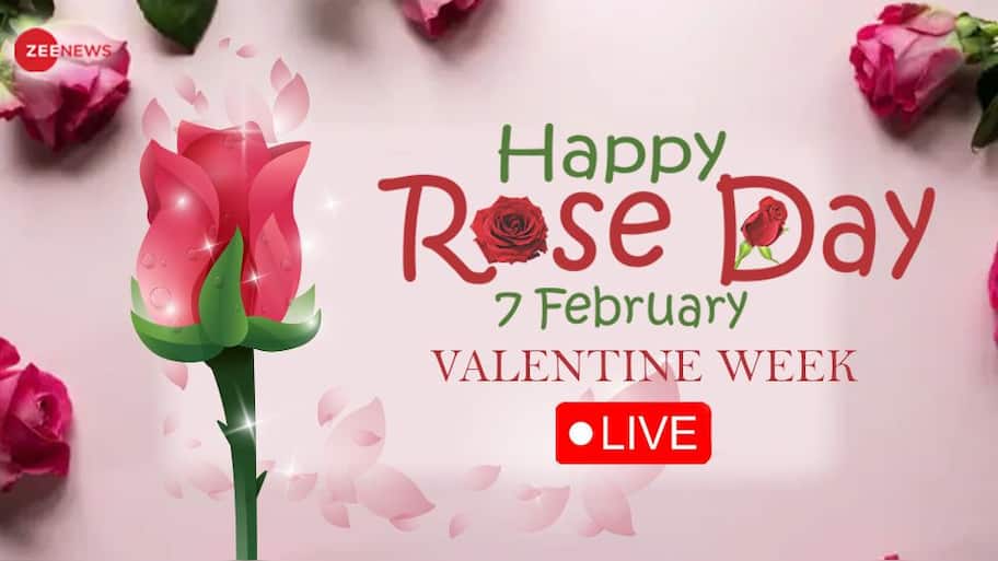 Highlights | Happy Rose Day 2023, Valentine Week: Netizens Flood Social ...