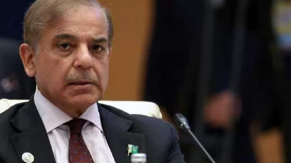 &#039;Pak Nuclear Power, India Can&#039;t Look At Us With Evil Eye&#039;: Shehbaz Sharif