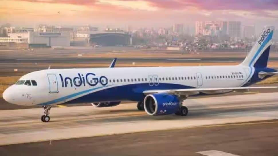 IndiGo Jeddah-Delhi Flight Makes Emergency Landing in Jodhpur After Passenger Falls Ill, Dies Later