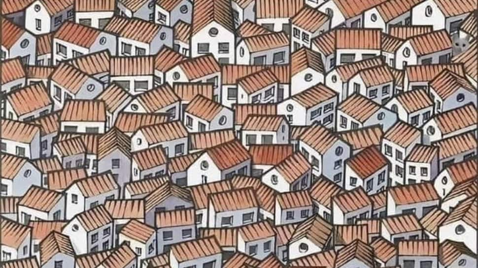 Optical Illusion: Can you Spot the cat in This Viral Photo in 10 Seconds? 