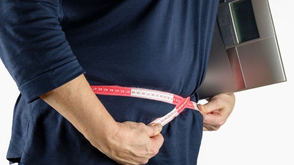 Weight Loss: Meal Timings can Determine how Many Kilos you Shed - Here&#039;s How