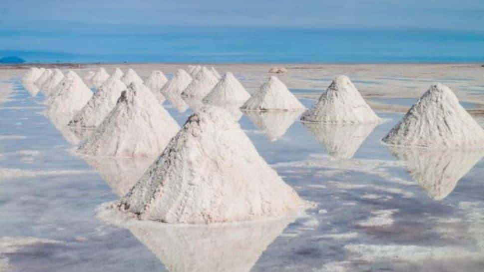Big Discovery: Lithium, a Key Component in Electric Vehicles, Found in India for First Time