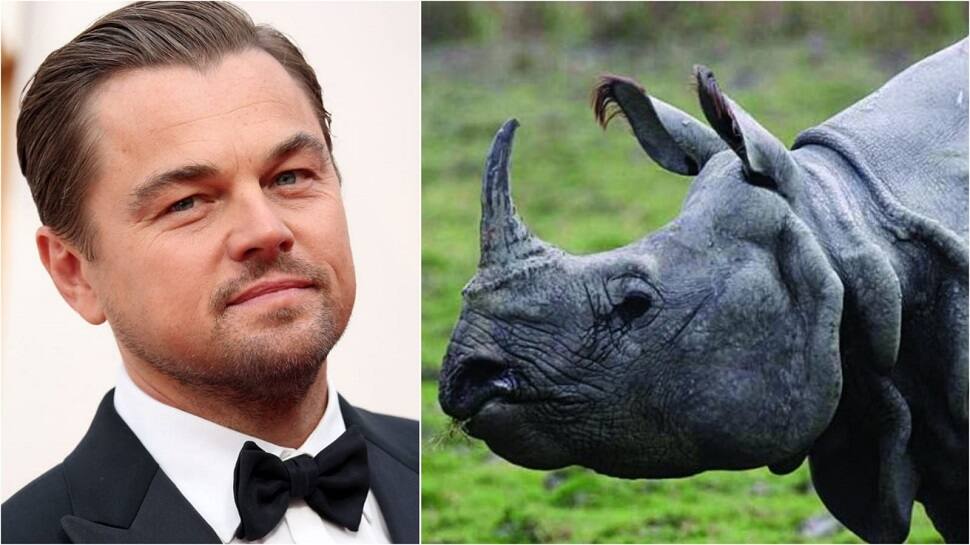 &#039;No Rhinos Were Poached in Kaziranga National Park&#039;: Leonardo DiCaprio Praises Assam Govt&#039;s Efforts to Combat Poaching