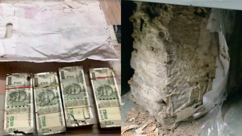 Termites eat Currency Notes Worth Lakhs Kept in PNB Bank Locker in Rajasthan&#039;s Udaipur