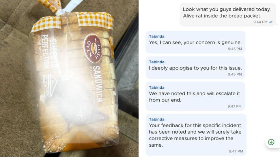 Blinkit Customer&#039;s Post on Finding a Living Rat Inside Bread Packet Goes Viral 