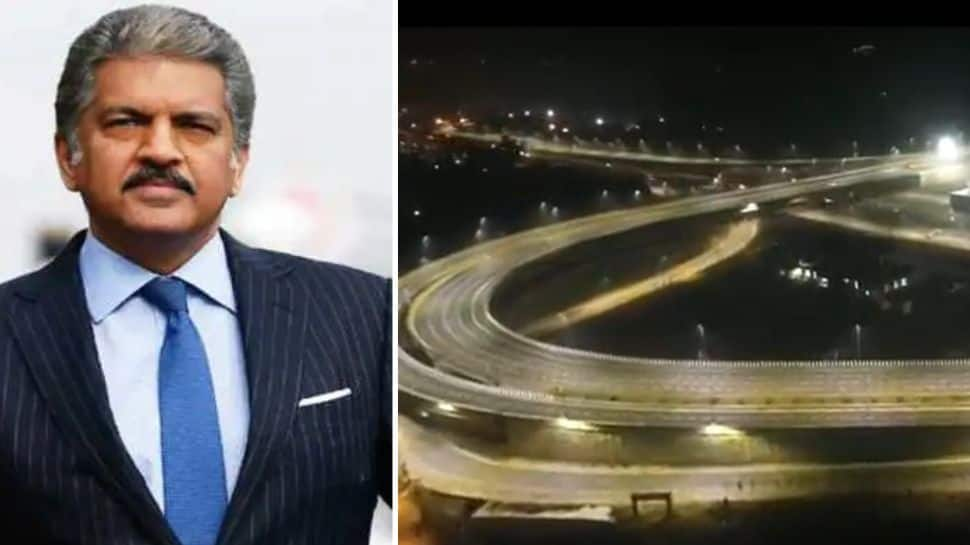 Anand Mahindra Praises Delhi-Mumbai Expressway, Shares Video of &#039;Magical&#039; Night View: Watch