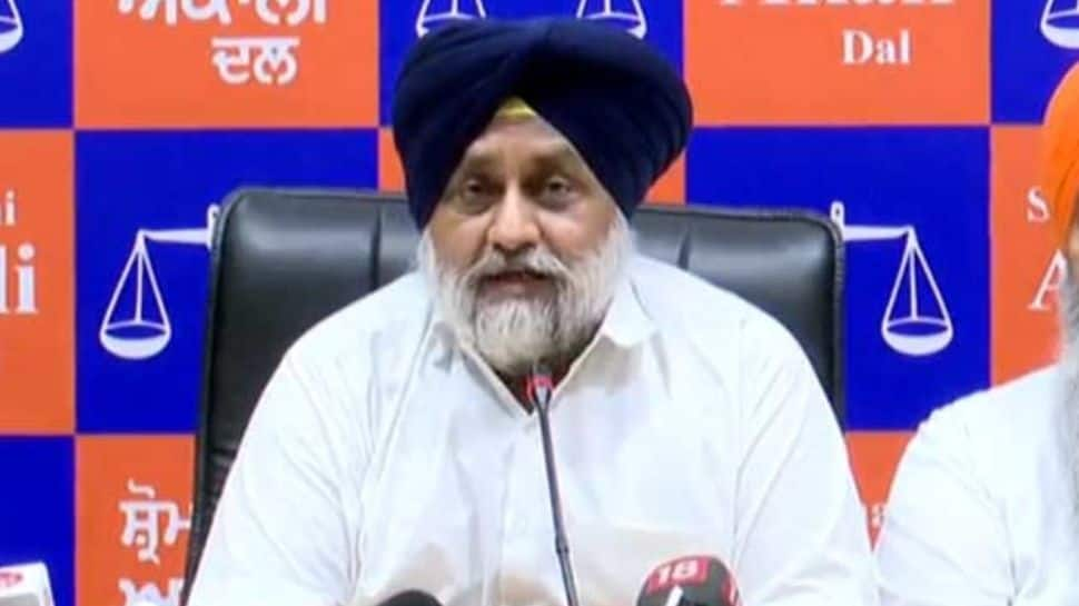 Analysis: Shiromani Akali Dal&#039;s Rejuvenation Plans