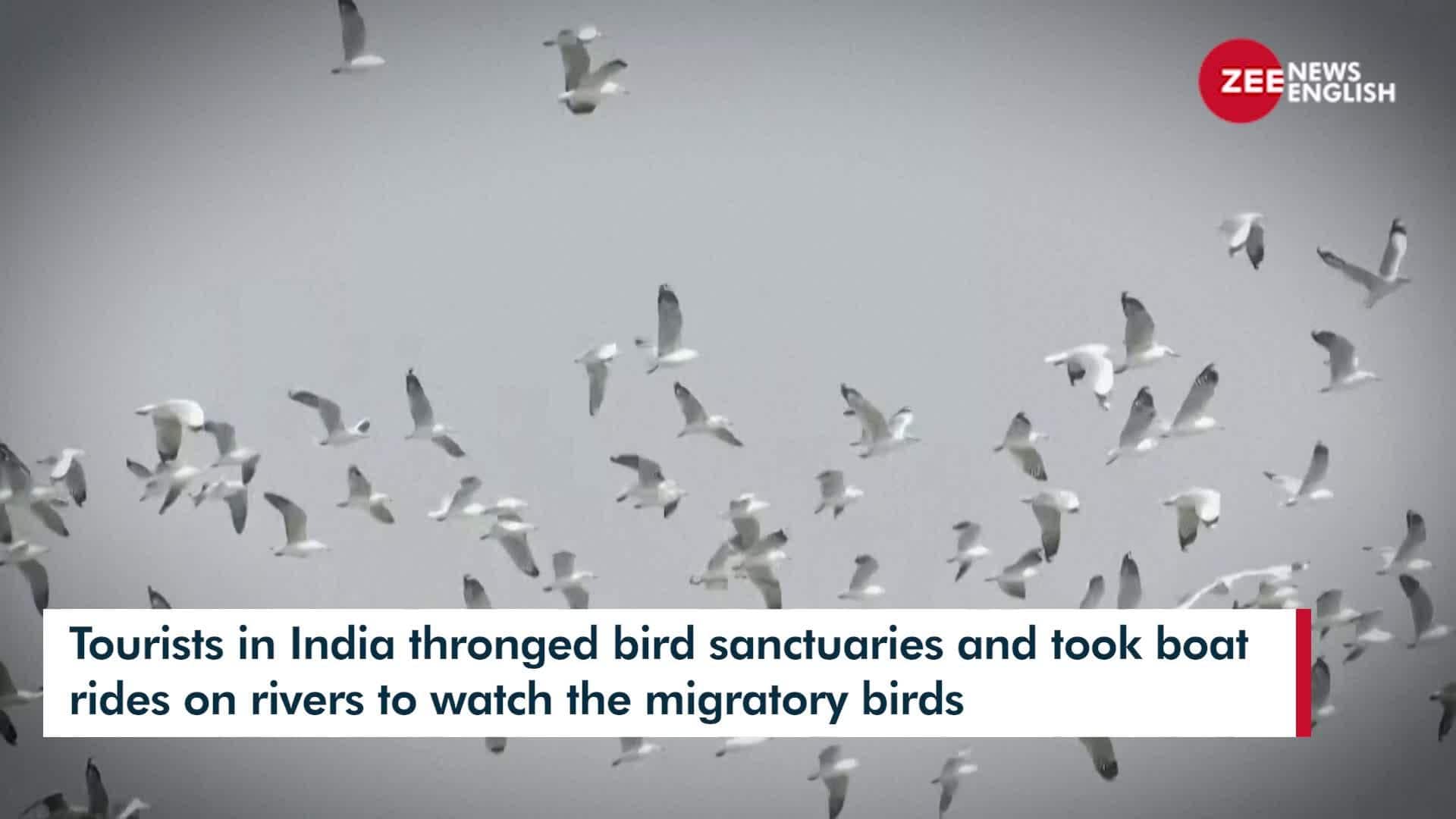 Wanderlust Tourists flock to bird sanctuaries, riverbanks to see