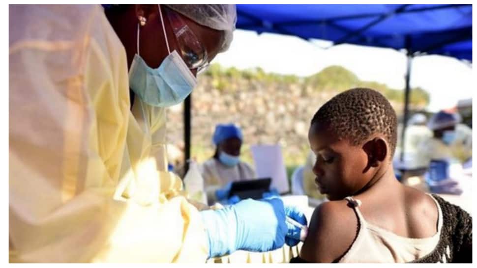 Éclosion du virus de Marburg confirmée en Guinée équatoriale ;  au moins neuf morts rapportés |  Nouvelles du monde