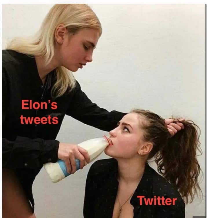 Create meme Elon musk Tesla Elon musk surprised Elon Musk  Pictures   Memearsenalcom