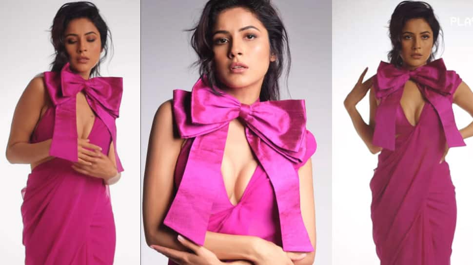 Shehnaaz Gill Wears a Hot Pink Saree With Plunging Neckline Bow Blouse in new Photoshoot - Watch